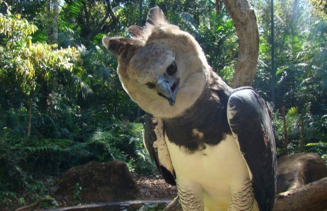 Parque das Aves Ticket - Photo 3